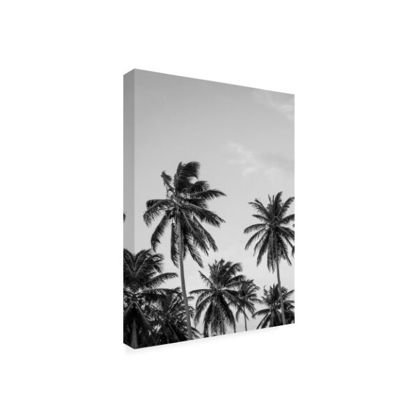 Design Fabrikken 'Palms In Grey Fabrikken' Canvas Art,18x24